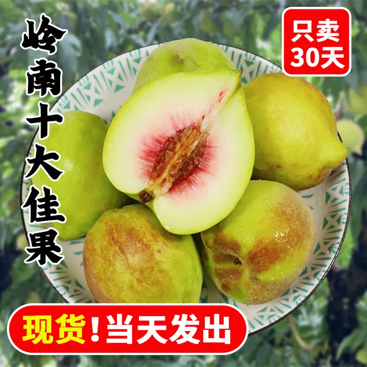 【甄选特大果】12个甄选果王（拍下直接安排礼盒牌面拉满）