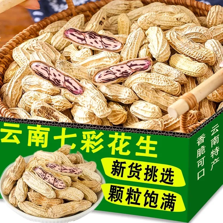 云南特产七彩花生带壳富硒花生2025新货晒干黑花生种带壳皮花生米