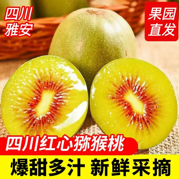 四川雅安高山红心猕猴桃奇异果当季新鲜水果果园直发包邮