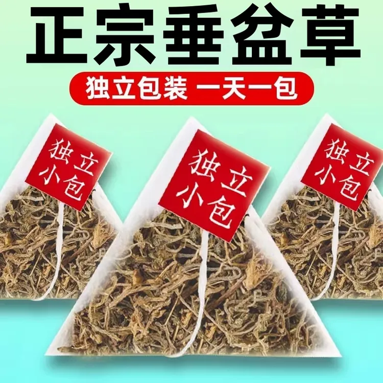 抢！到手50包】垂盆草新货独立包装干货泡茶正宗垂盆草中药养生茶