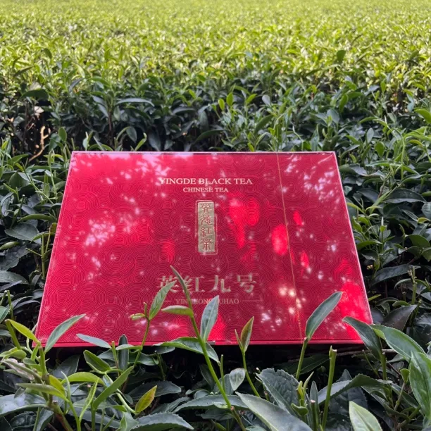 鸿睦 广东英德红茶冬季英红九号礼盒装