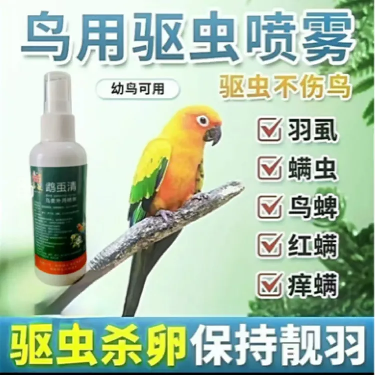 驱虫杀卵保持靓羽