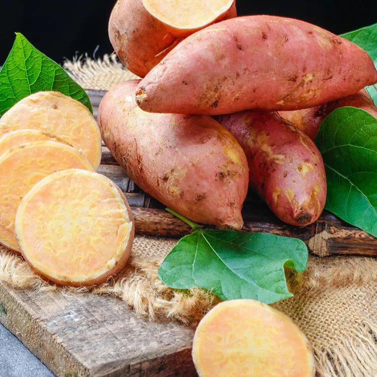 正宗沙地黄心蜜薯软糯香甜新鲜现挖烤地瓜