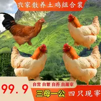【四只装】3只2.5斤散养两年老母鸡+1只2.5斤仔公鸡净重10斤顺丰