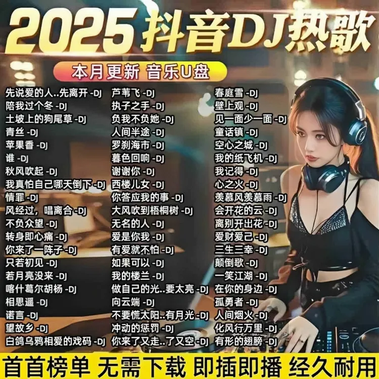 歌曲U盘2025最火抖音劲爆dj车载音乐U盘炸街重低音DJ嗨曲无损音质