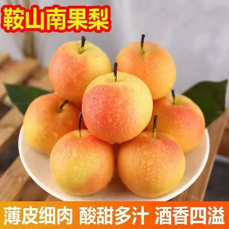【粉丝福利】鞍山新鲜南果梨东北特产应季水果酸甜多汁