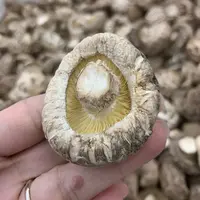 【翠凤】花菇、浓浓的菇香味、闷鸡、闷鸭、炒肉片、煲汤