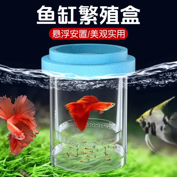 【宠大条】鱼缸繁殖隔离孔雀鱼产房鱼苗孔雀鱼繁殖隔离盒