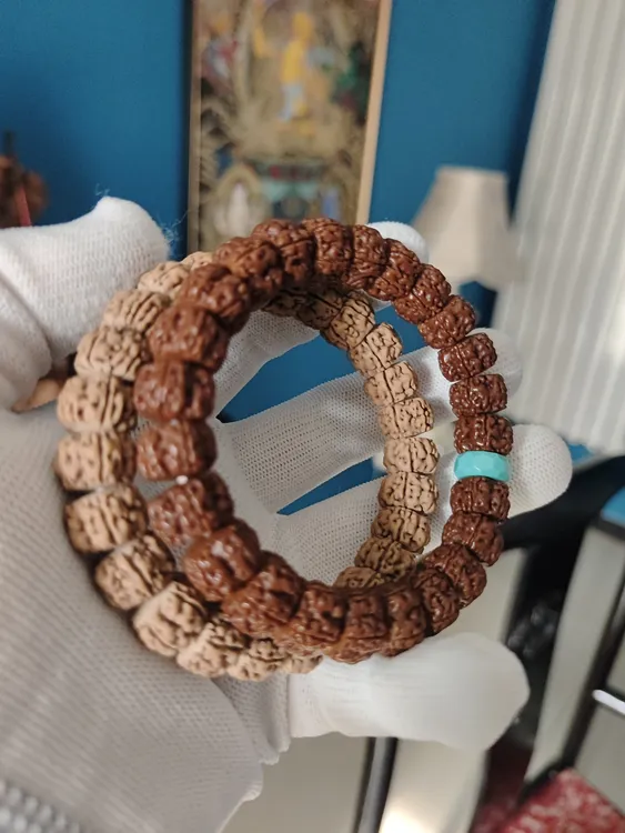 赛盘龙单圈尺寸12加