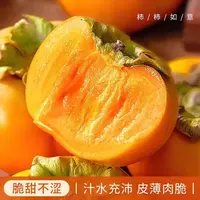 【削皮即食】阳丰巧克力脆柿子新鲜水果坏果包赔