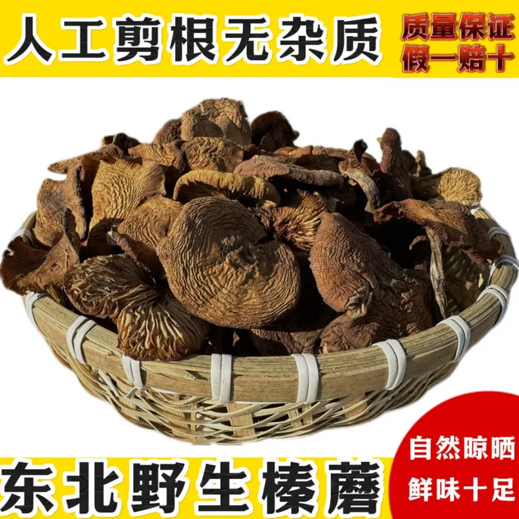 2025年东北特产头茬野生榛蘑干货新货小鸡炖蘑菇土特产无根
