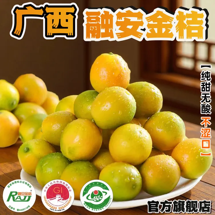【产地严选】融安脆皮金桔新鲜现摘香甜爆汁无核融安金桔滑皮金桔