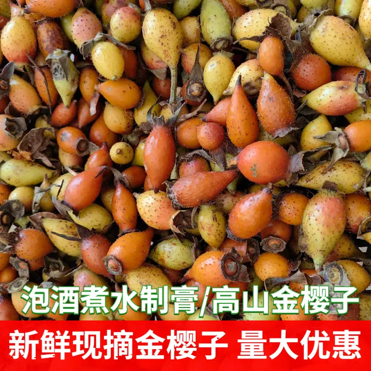 新鲜金樱子深山鲜果刺梨子糖罐子蓝刺子生石榴男性泡茶泡酒药材