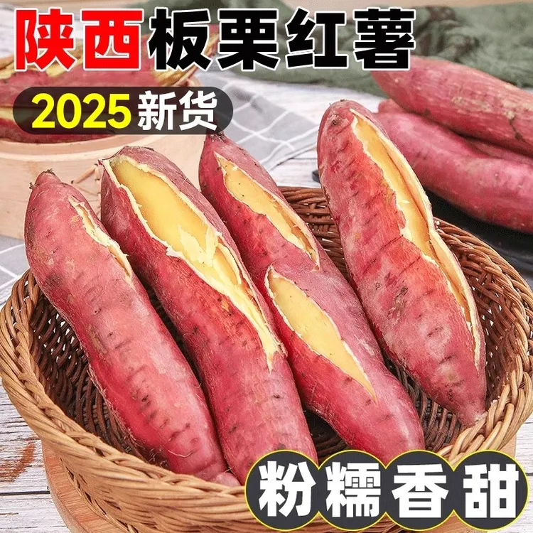 2025陕西板栗红薯粉面甜新鲜现挖粗粮糖心烟薯香薯烤地瓜辅食粗粮