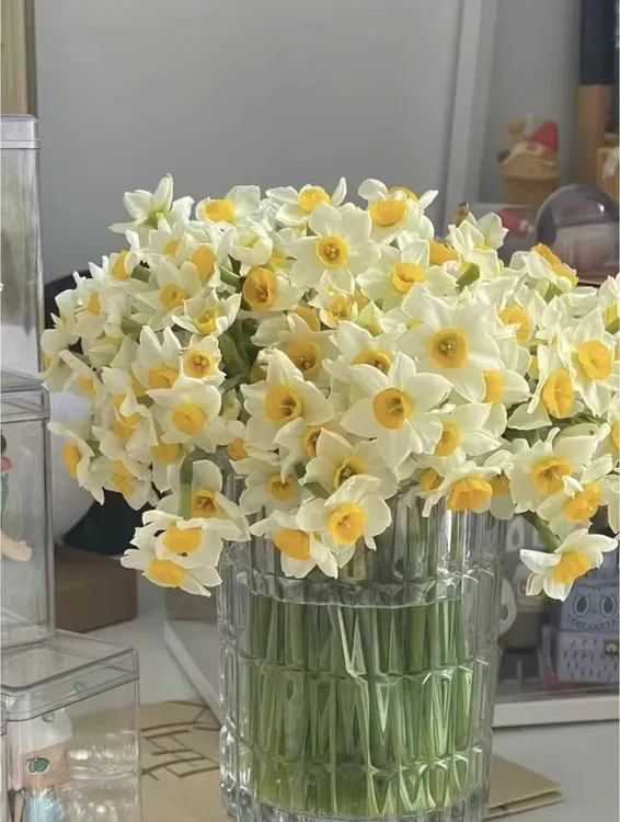 水仙花鲜切花 重瓣浓香 水养易活 家用办公插花装饰鲜花速递