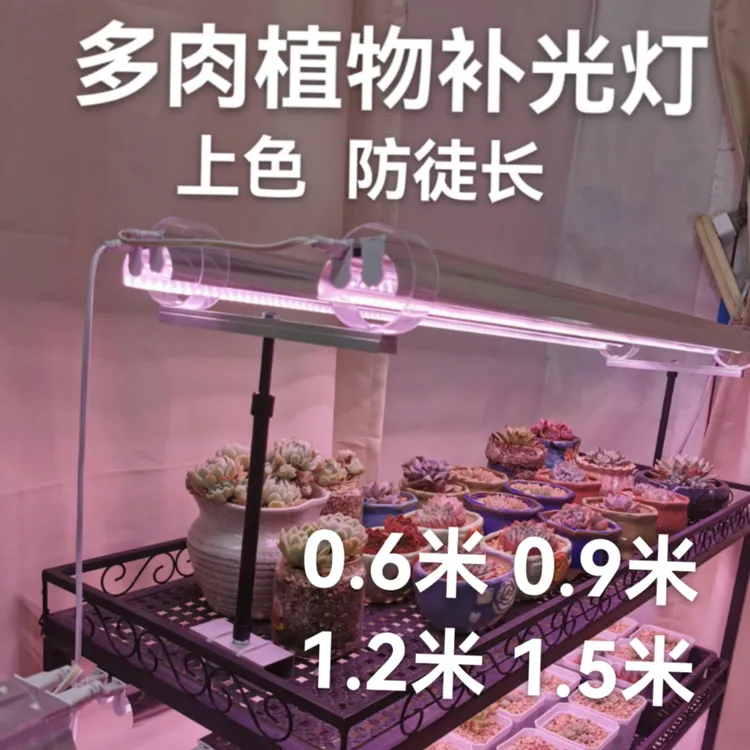 铝材双支带罩全光谱多肉植物生长补光灯40瓦60瓦80瓦100