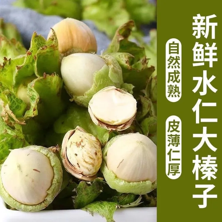 2025年河北新货大榛子新鲜带绿皮水仁榛子坚果包邮