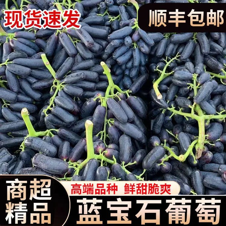 顺丰包邮】正宗蓝宝石美人指葡萄拇指无籽黑提新鲜应季水果脆甜