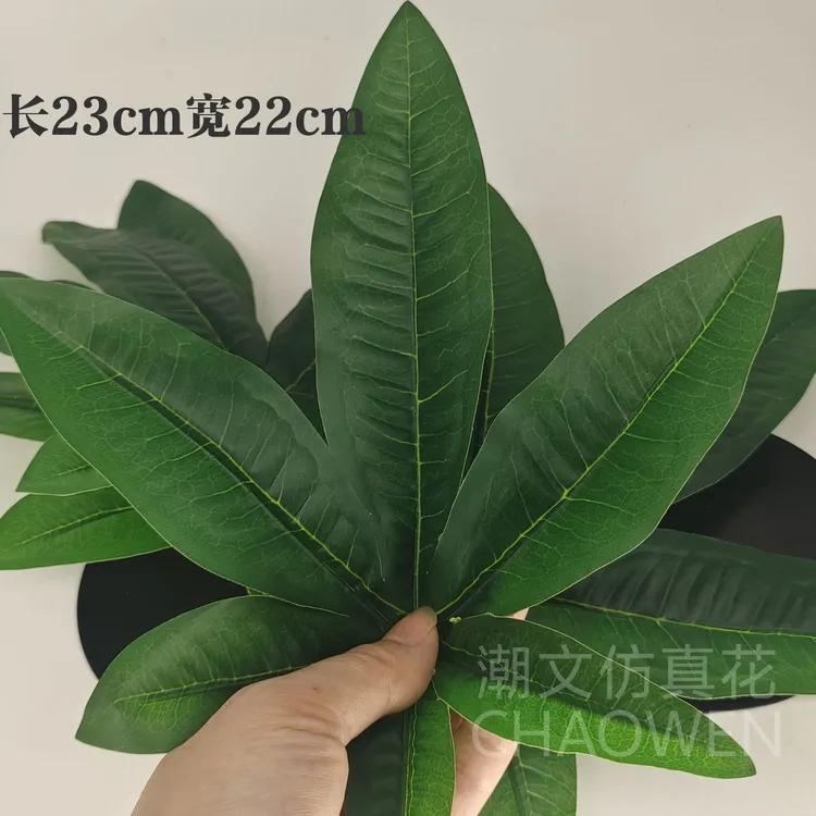 仿真发财叶子水果店装饰假绿叶金盘叶方真树叶大小号批发价植物叶