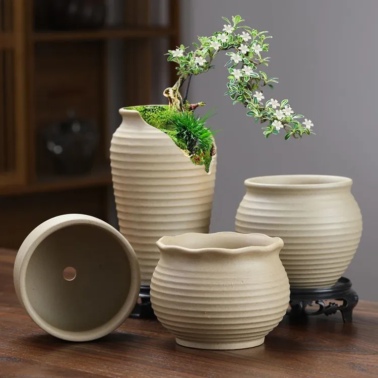 透气粗陶素烧多肉花盆适合文竹绿植老桩盆栽