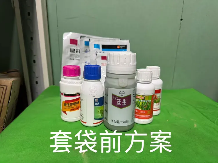 套袋前（桃子套袋子前植保方案）叶面肥一套兑400斤水 喷雾器10桶 