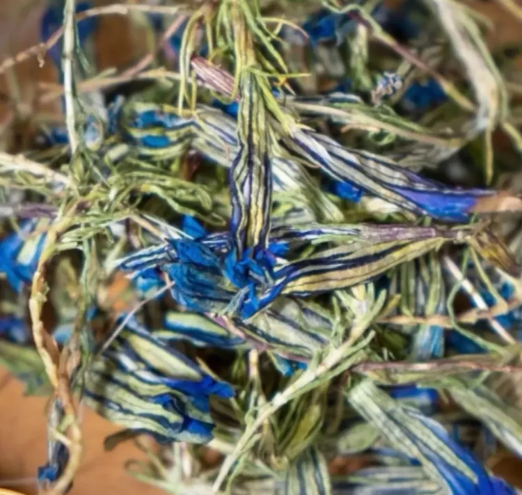 西藏高海拔龙胆花  晾晒干花泡水