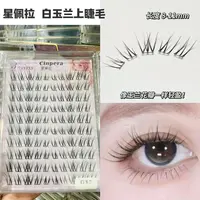星佩拉 淡颜白玉兰漫画睫毛 懒人夏日空气感新手灵动分段式假睫毛