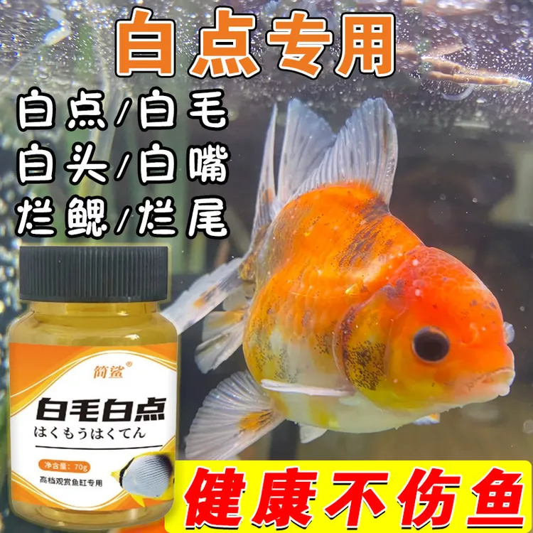 【急救】观赏鱼白点净锦鲤鱼金鱼白毛烂尾万能白点白毛水族鱼缸专用