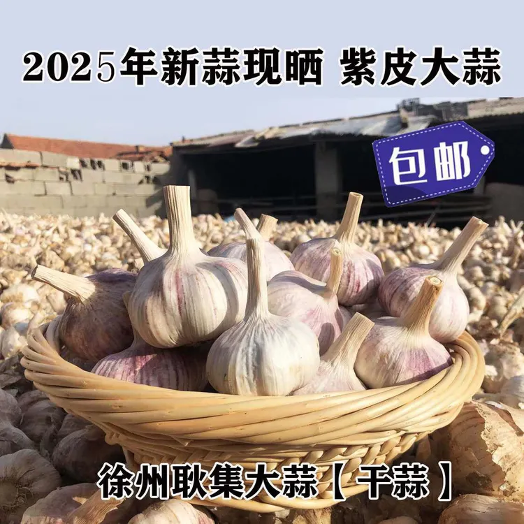 2025年农家现晒紫皮干大蒜邳州精品可腌制腊八蒜做蒜泥小龙虾蒜种