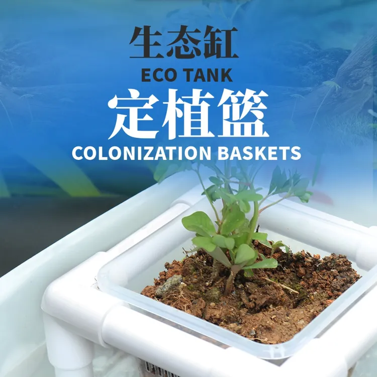 鱼缸水培植物篮支架水植物定植篮鱼缸造景装饰水草种植杯挺定制