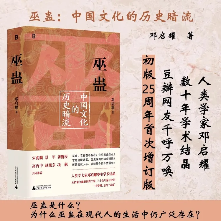 巫蛊 中国文化的历史暗流 邓启耀 著  广西师范大学出版社 