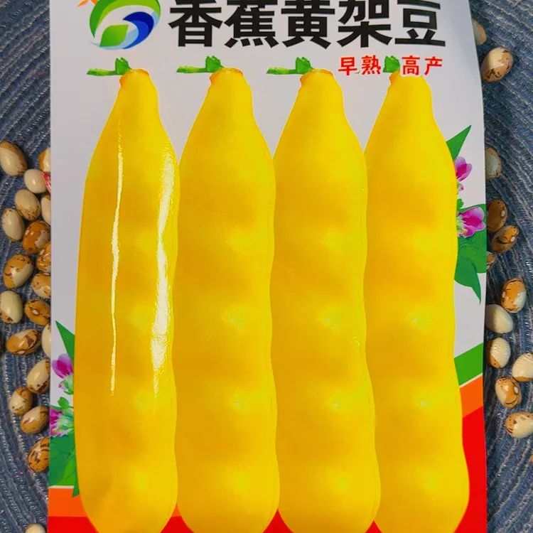 香蕉面豆籽黄油豆角山河【包装随机】