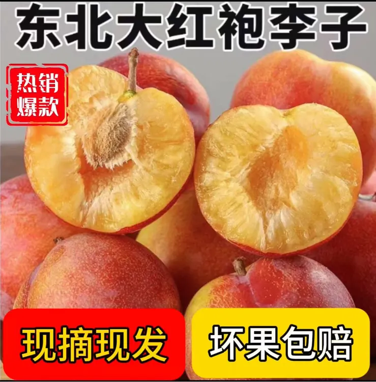 东北大红袍李子当季新鲜黄心大果脱骨离核甜脆水果