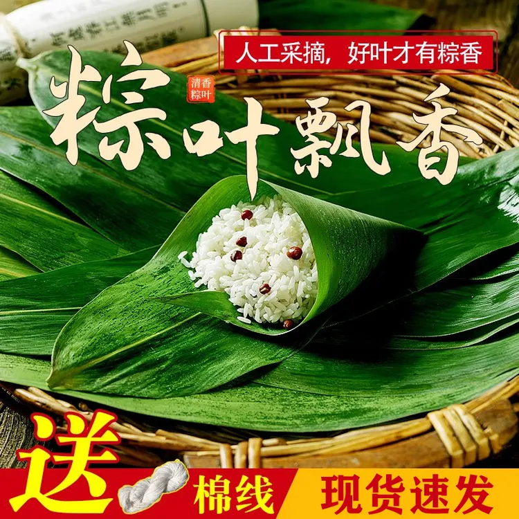【食品级】新鲜粽叶竹叶摆盘装饰小叶子家商用大号鲜棕寿司DIY用具