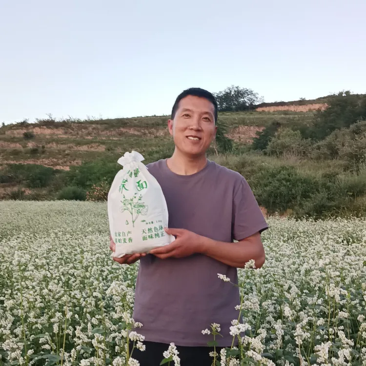 甘肃家乡的农家头茬荞麦面，纯真无任何添加勾兑