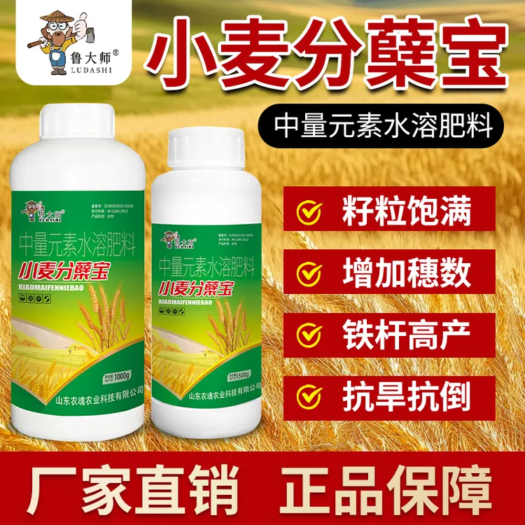 小麦分蘖宝促进专用抗旱高钙壮苗防冻黄金粒粒抗倒伏饱满防寒肥料