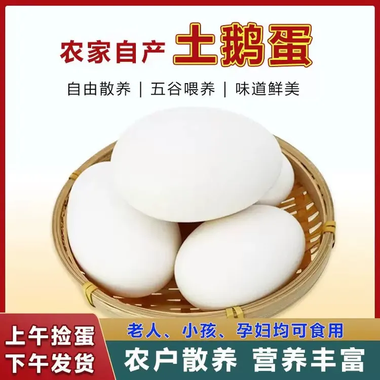 大簧现捡现发新鲜散养农家土鹅蛋破损包赔