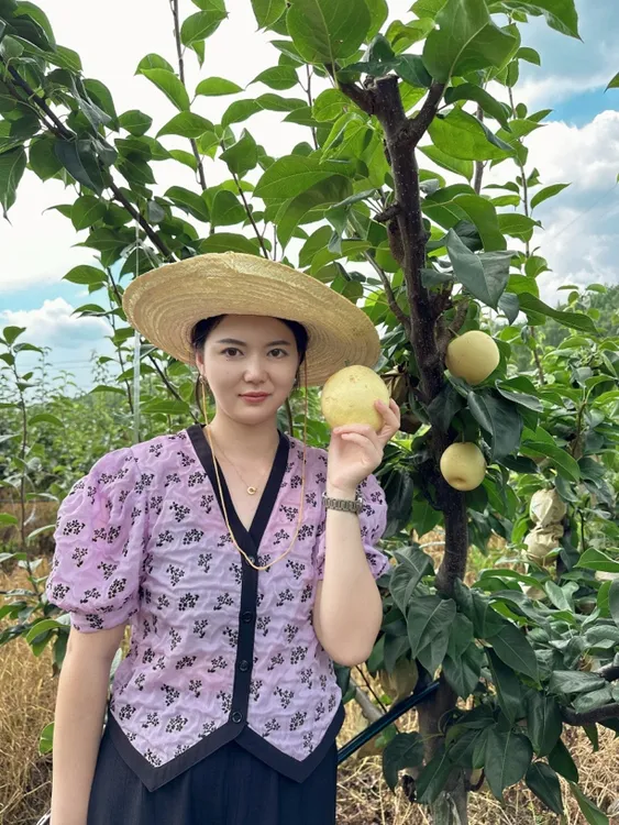 苍溪五龙翠冠梨酥脆香甜多汁现采现发