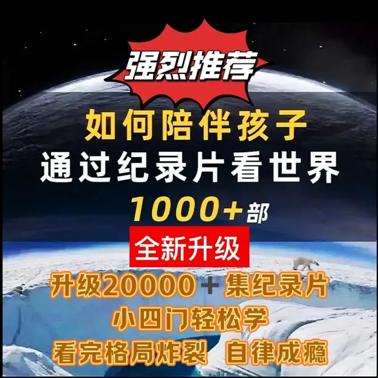 【正版福利】高分小初高小四门纪录片早教逻辑训练思维教具