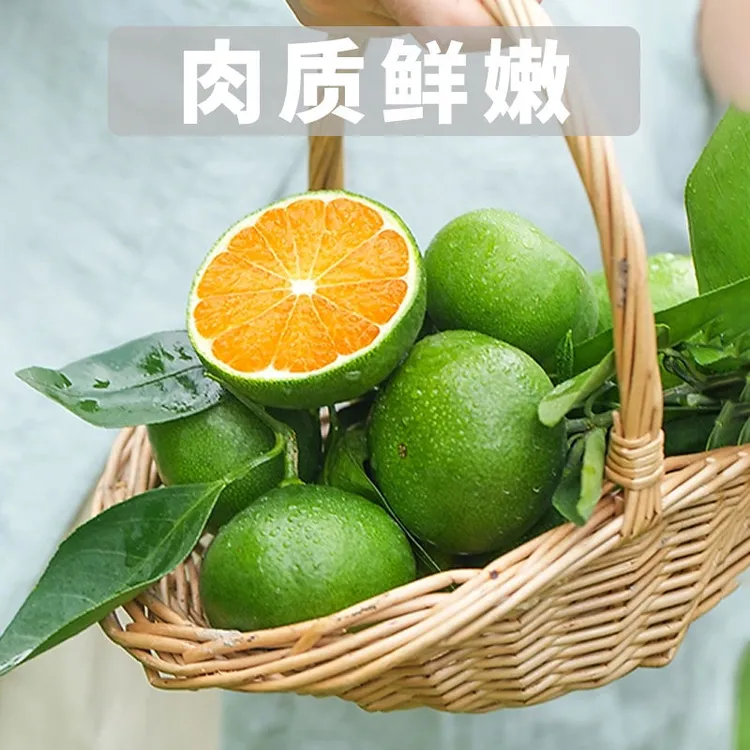 【京东包邮】江西赣南寻乌蜜橘桔子无籽蜜橘新鲜应季水果3/5斤青皮