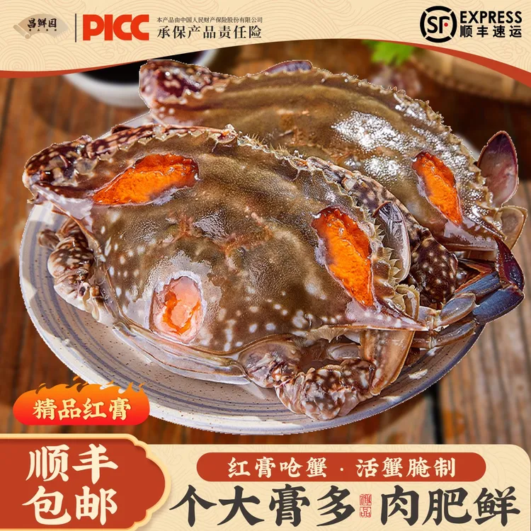 舟山红膏呛蟹新鲜梭子蟹腌制即食整只下饭菜
