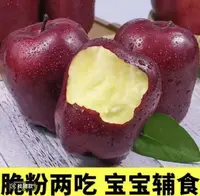 甘肃花牛苹果新鲜水果脆甜多汁粉面两吃香甜可口（多仓发货）