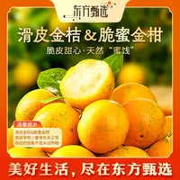 东方甄选自营广西滑皮金桔/脆蜜金柑带皮吃金桔新鲜水果坏果包赔