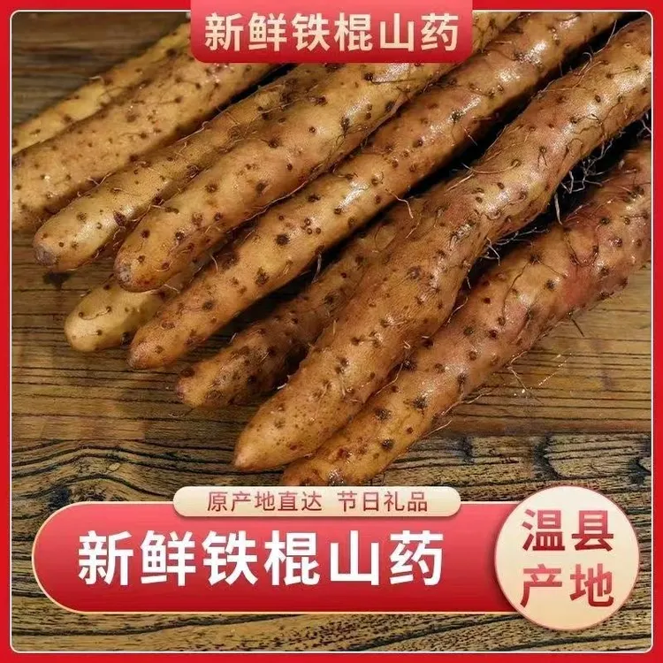 【温县直发】2025焦作新鲜垆土铁棍山药现挖现发干香粉糯