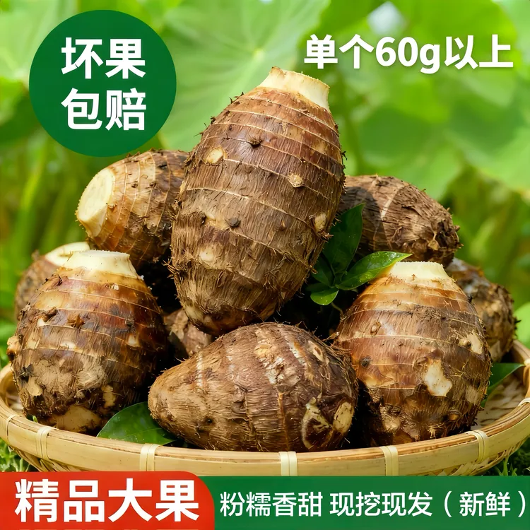 【单果60g以上】江西现挖新鲜红芽芋头5斤3斤芋头农家现挖芋艿芋子