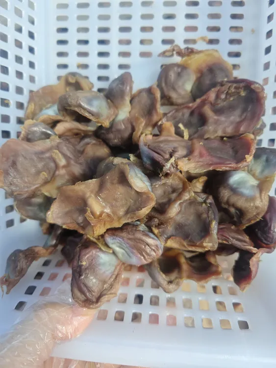 腊鸭胗安徽特产风干鸭胗鸭肾农家下酒菜咸鸭胗