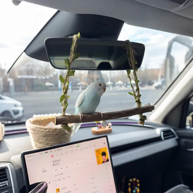 【遛鸟神器】车载鹦鹉站架树枝秋千外出便携中控台站杆解压玩具