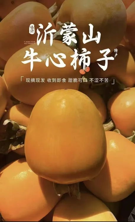 【冰糖心柿子】正宗沂蒙山牛心芒果脆柿子新鲜水果脆甜不涩无核