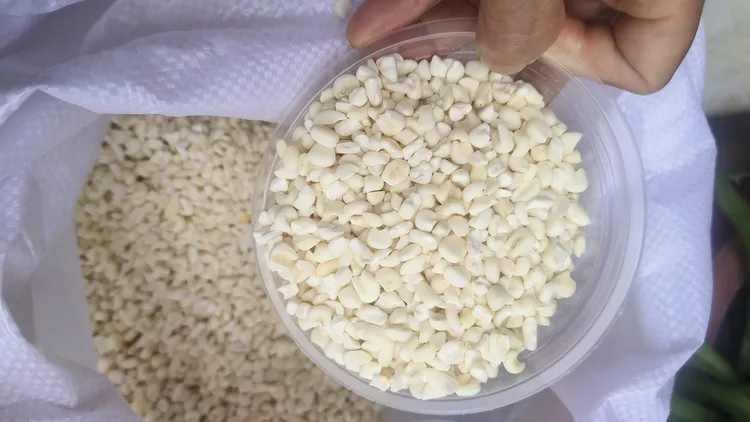 广西河池罗城仫佬族特产珍珠糯玉米头