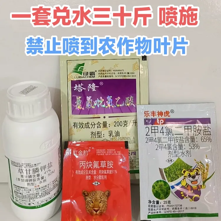 金赞构树灌木烂根除草剂草甘膦氯氟吡氧乙酸草胺磷除杂草农田禁用